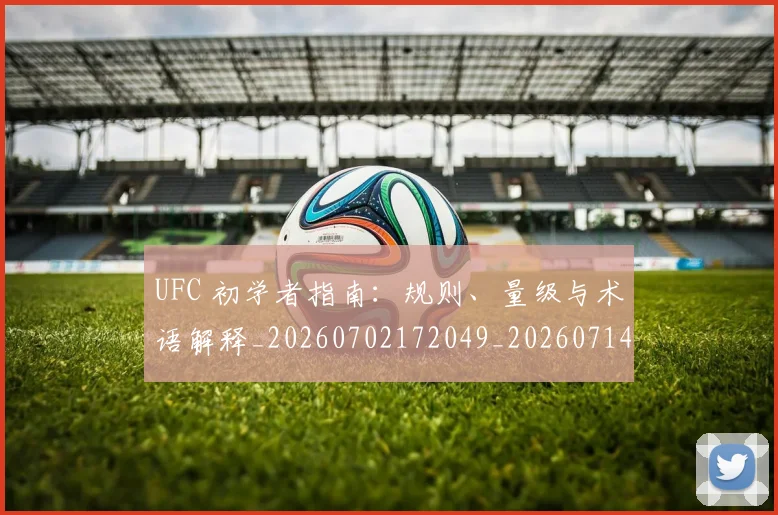 UFC 初学者指南：规则、量级与术语解释_20260702172049_20260714215338