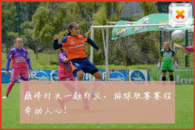 巅峰对决一触即发,排球联赛赛程牵动人心!